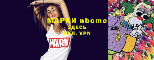 прущие грибы Осташков
