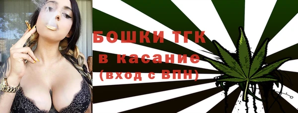 прущие грибы Осташков