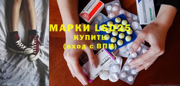 прущие грибы Осташков