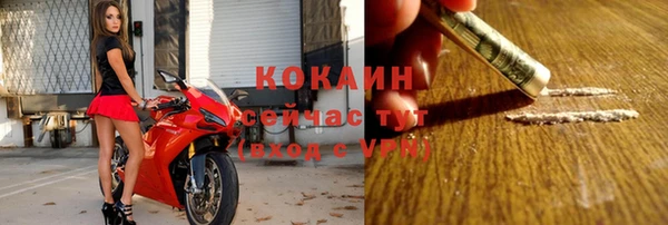 прущие грибы Осташков