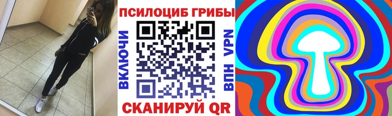 Псилоцибиновые грибы GOLDEN TEACHER  Шумерля 