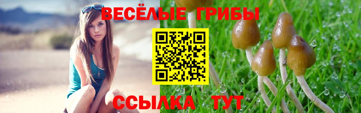 Псилоцибиновые грибы прущие грибы Шумерля