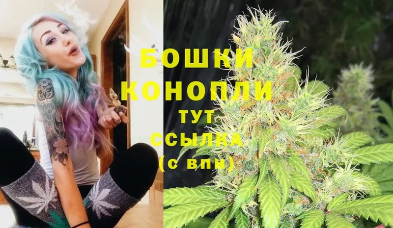 где найти   Шумерля  МАРИХУАНА THC 21% 